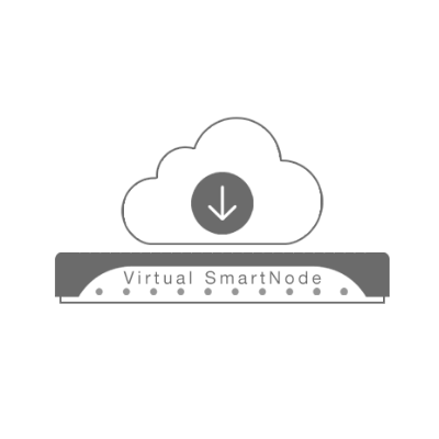 Patton Virtual SmartNode License (CBFL-1B)